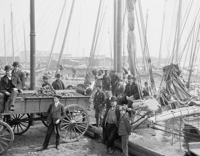 Lossen van oesterluggers, Baltimore, Maryland, 1905 door Detroit Publishing Co.